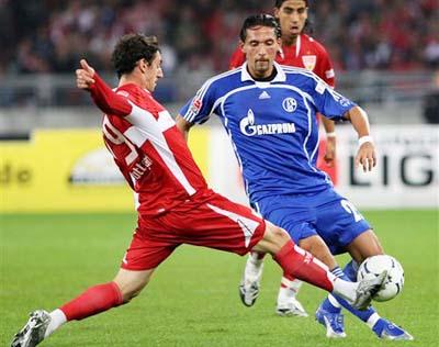 提供了广阔 提供了广阔